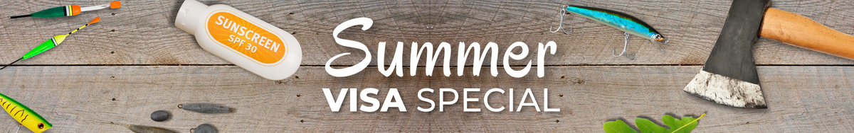 summer visa